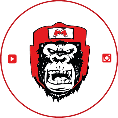 https://www.vtboxe.it/wp-content/uploads/2022/03/vtb-logo-circle.png